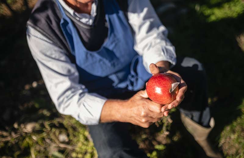 Prodotti con Marchio di Qualità Alto Adige