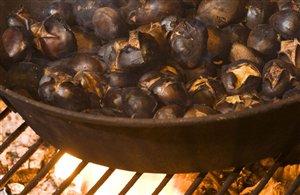 Storia del Törggelen in Alto Adige