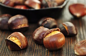 Törggelestuben in Südtirol