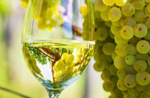 Niclara dell'Alto Adige