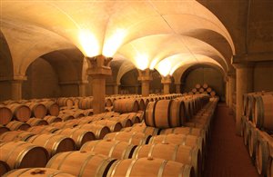 Cantina dei vini in Alto Adige