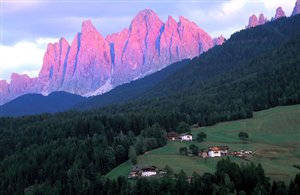 Leggenda - Il roseto di re Laurino