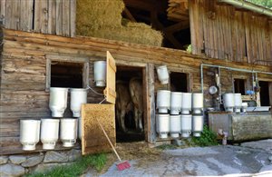 Leggenda dei "Nörggelen" della Val di Vizze