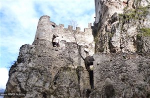 Castello di Salorno in Alto Adige