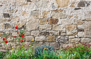 Schloss Dornsberg in der Ferienregion Meraner Land