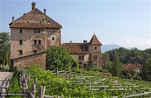 Schloss Moos-Schulthaus in Südtirol