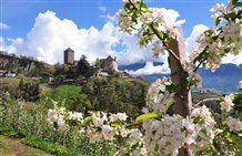 Vista sul Castel Tirolo nella regione turistica di Merano e dintorni