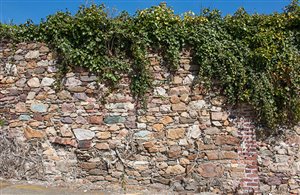 Burgen & Schlösser in der Ferienregion Ulten-Deutschnonsberg