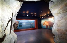 Mostra nel Museum Ladin a San Cassiano