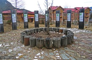 Sentiero didattico sulla biomassa a Dobbiaco in Alta Pusteria