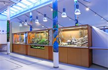 Terrari nel Centro Visite a San Vigilio di Marebbe