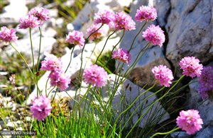 Naturparkhaus Puez-Geisler in Villnöss