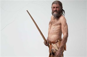 Südtiroler Archäologiemuseum in Bozen