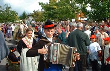 Almabtrieb in der Ferienregion Gitschberg - Jochtal