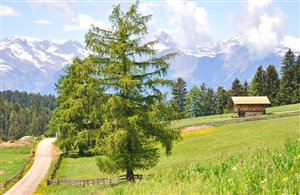 Altopiano del Salto sul Monzoccolo nella Bassa Atesina