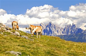 Alpe di Villandro nella Valle Isarco