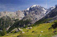 Vista sull'Ortles d'estate