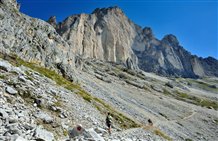 Rosengarten in Südtirol