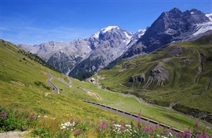 Nationalpark Stilfser Joch in Südtirol