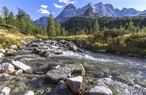 Ruscello nel Parco naturale Vedrette di Ries - Aurina