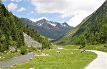 Paradiso escursionistico Vedrette di Ries - Aurina nella regione vacanze Valli di Tures e Aurina