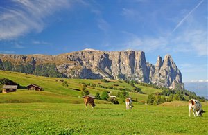 Naturpark Schlern-Rosengarten in Südtirol
