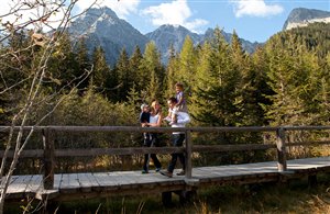 Biotop Rasner Möser