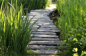 Biotopi di Campo di Trens nella Valle Isarco