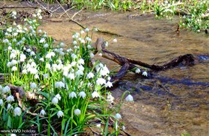 Frühlingstal in Südtirols Süden