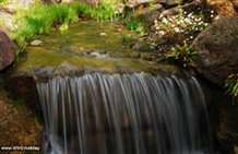 Gewässer in den Gärten von Schloss Trauttmansdorff
