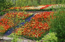 Gartenwelten auf Schloss Trauttmansdorff