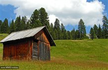 Prato Piazza in estate