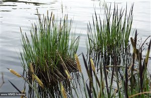 Lago di Varna in Alto Adige