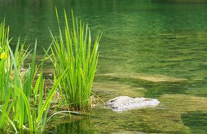Seen im Passeiertal in Südtirol