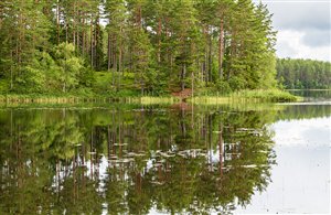 Laghi nella regione Alpe di Siusi