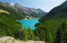 Lago di Vernago d'estate in Alto Adige
