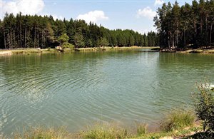Badesee Völser Weiher in der Ferienregion Seiser Alm