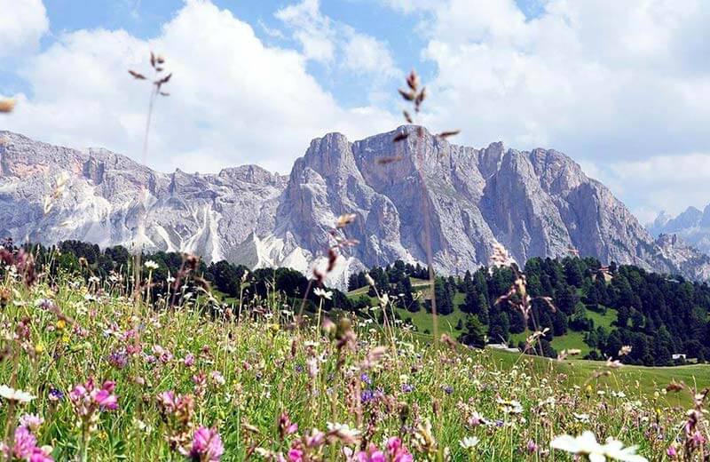 Maggio in Alto Adige