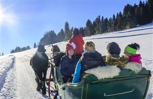 Romantische Kutschenfahrten