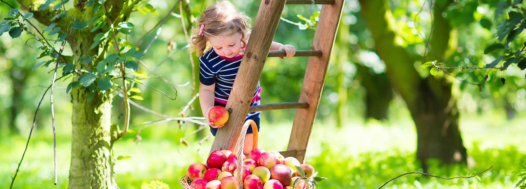 Agricoltura biologica controllata