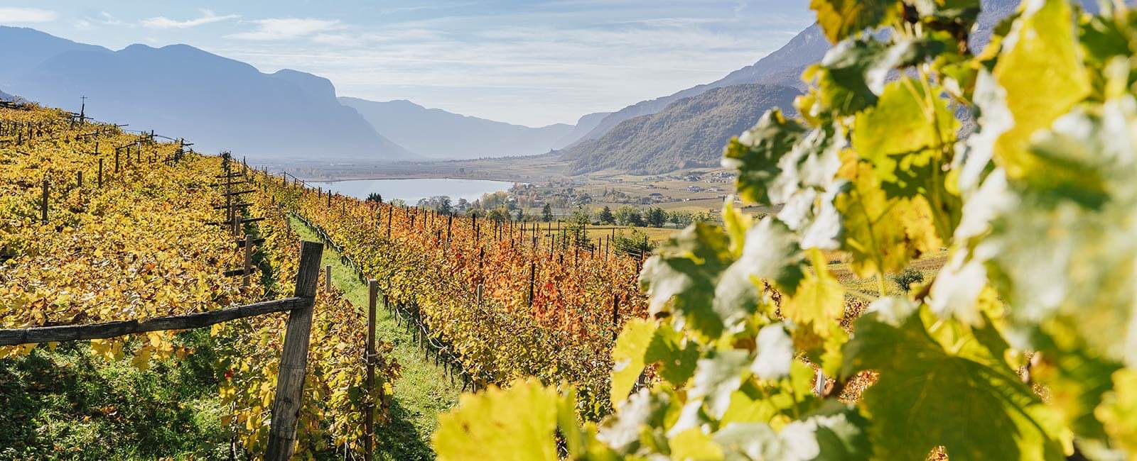 Ottobre in Trentino Alto Adige