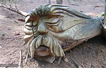 Percorso avventura dedicato al tema della foresta