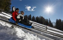 Rodelspaß mit dem Alpin Bob Meran 2000