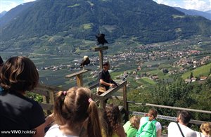 Flugvorführung im Pfegezentrum Vogelfauna