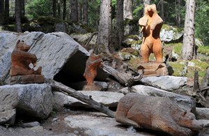 Bärenfamilie am Hexensteig