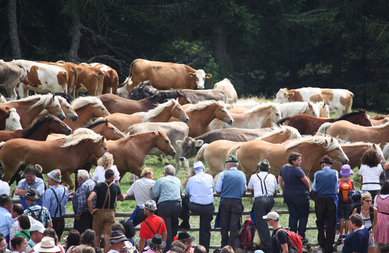 Giorno di San Bartolomeo sul Renon