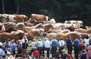 Giorno di San Bartolomeo al Renon nell'area vacanza Bassa Atesina