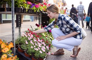 Mercato dei fiori di Bolzano in Bassa Atesina