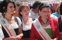 Regine delle fragole di Martello