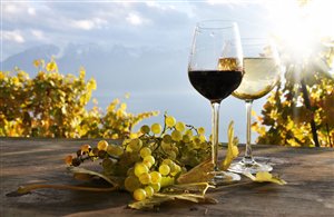 Giornate del vino di Caldaro nella regione vacanze Bassa Atesina